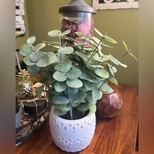 Allen + Roth Artificial Potted Eucalyptus in Elegant White Pot